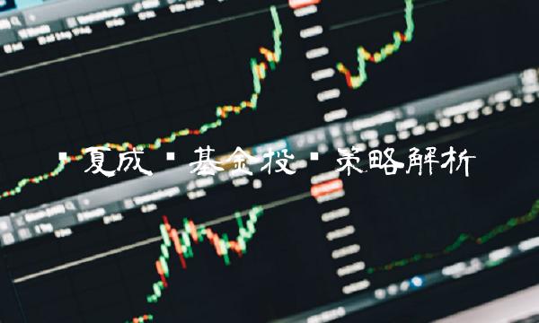 华夏成长基金投资策略解析