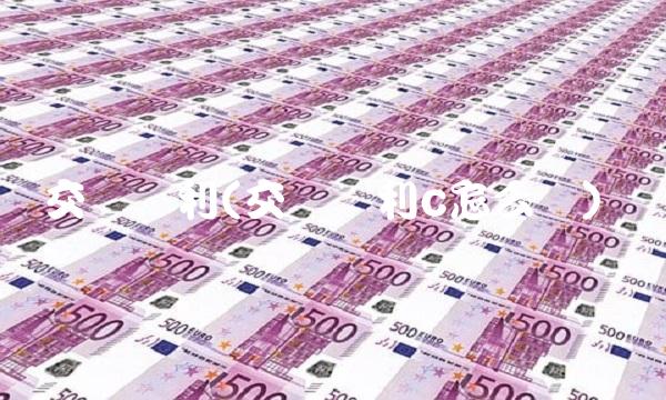 交银双利(交银双利c怎么样)