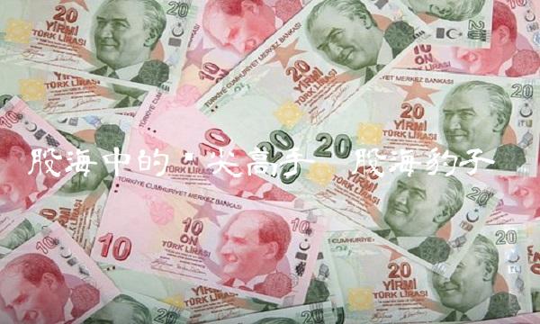 股海中的顶尖高手——股海豹子