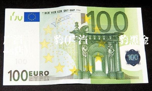 广汽长丰猎豹(广汽长丰猎豹黑金刚4s店)