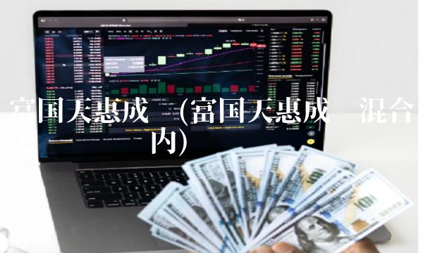 富国天惠成长(富国天惠成长混合怎么转换场内)