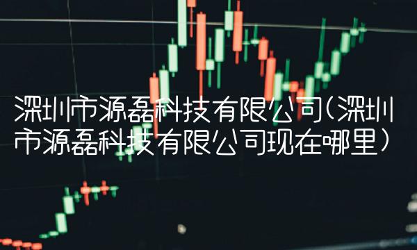 深圳市源磊科技有限公司(深圳市源磊科技有限公司现在哪里)
