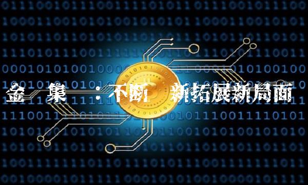 金辉集团：不断创新拓展新局面