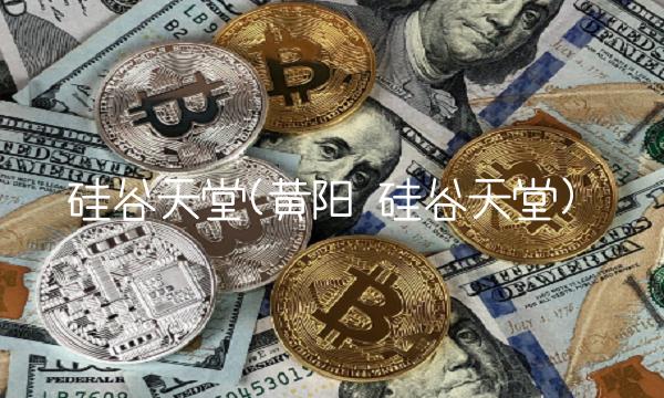 硅谷天堂(黄阳 硅谷天堂)
