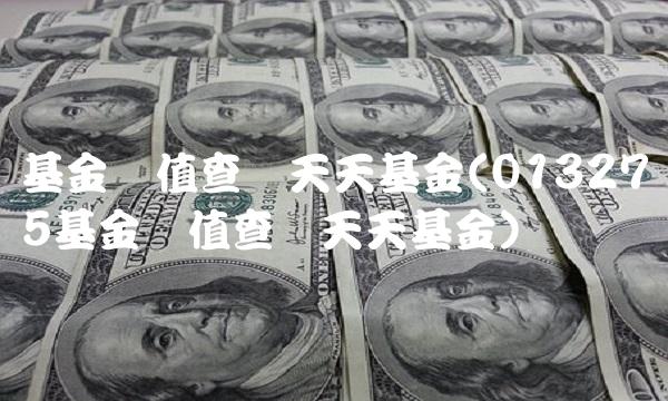 基金净值查询天天基金(013275基金净值查询天天基金)