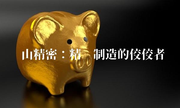 东山精密：精确制造的佼佼者