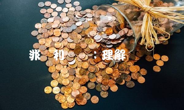 非营利组织：理解与实践