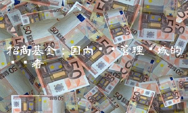 招商基金：国内资产管理领域的领军者