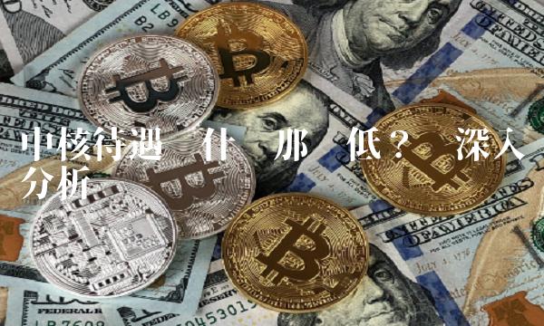 中核待遇为什么那么低？——深入分析