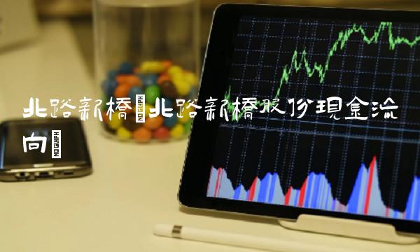 北路新桥(北路新桥股份现金流向)