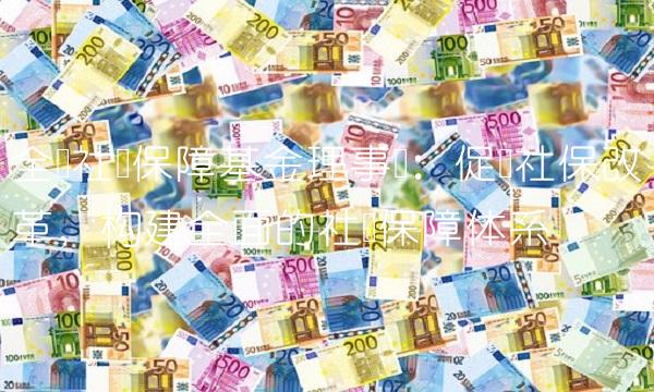 全国社会保障基金理事会：促进社保改革，构建全面的社会保障体系