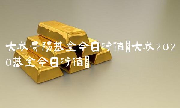 大成景阳基金今日净值(大成2020基金今日净值)