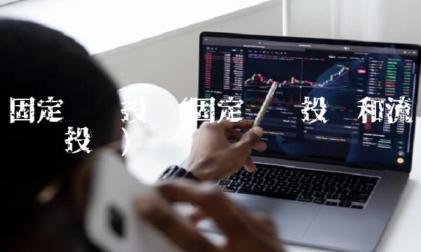 固定资产投资(固定资产投资和流动资产投资)