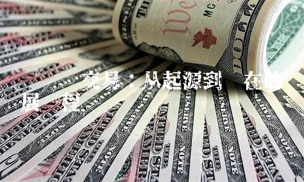 维卡币交易：从起源到现在的发展历程