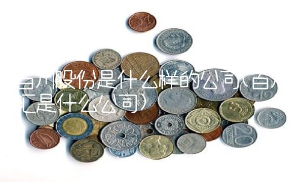 百川股份是什么样的公司(百川汇是什么公司)