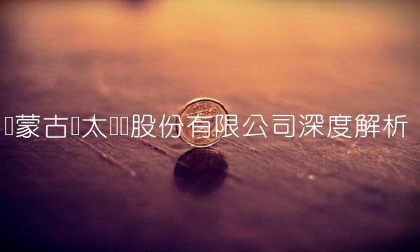 内蒙古兰太实业股份有限公司深度解析