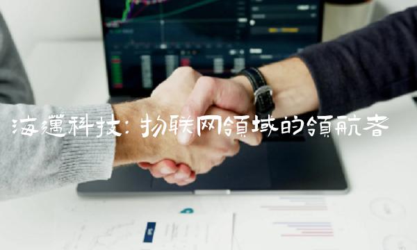 海迈科技：物联网领域的领航者