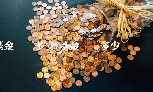 基金净值多少(基金净值多少时补仓)