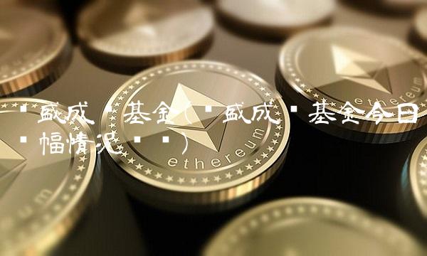 长盛成长基金(长盛成长基金今日涨幅情况查询)