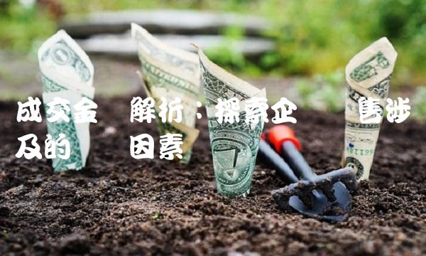 成交金额解析：探索企业销售涉及的关键因素