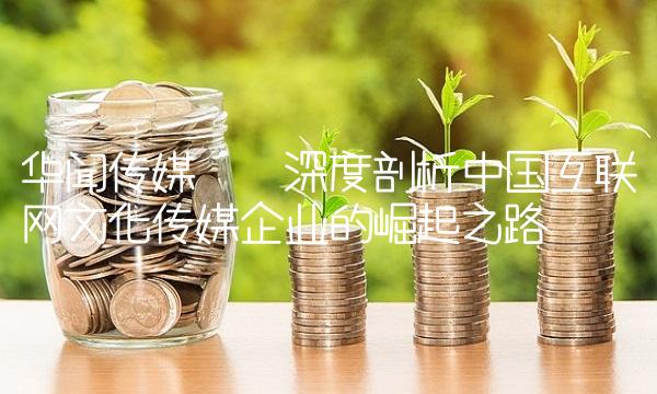 华闻传媒——深度剖析中国互联网文化传媒企业的崛起之路