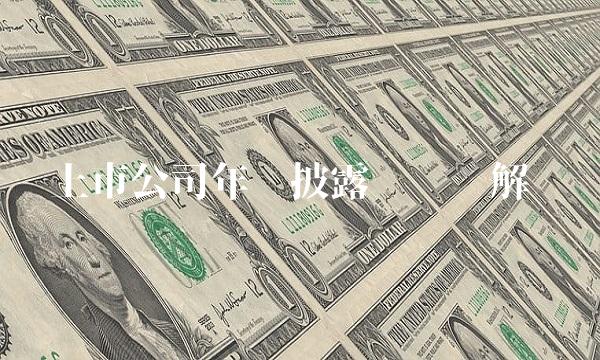 上市公司年报披露规则详解