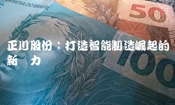 正川股份：打造智能制造崛起的新势力