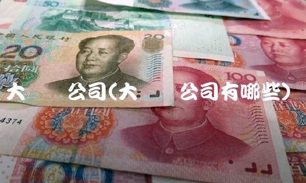 大数据公司(大数据公司有哪些)