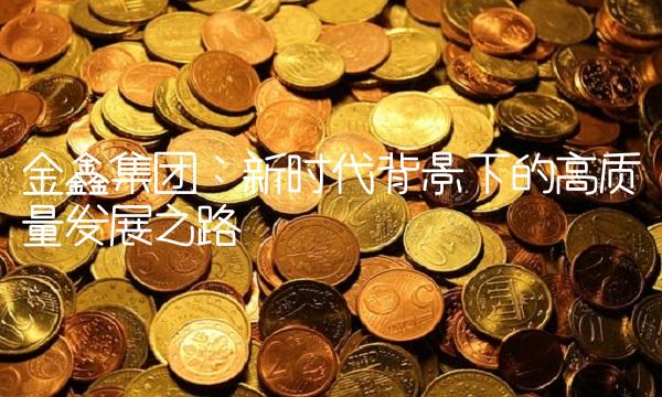 金鑫集团：新时代背景下的高质量发展之路