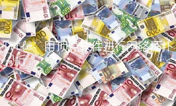 Title 用顶点软件进行网络拓扑分析