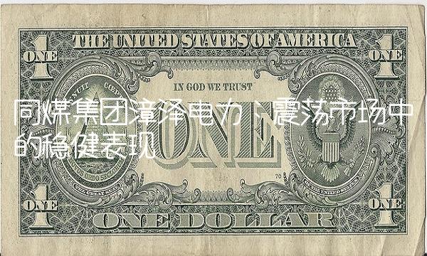 同煤集团漳泽电力：震荡市场中的稳健表现