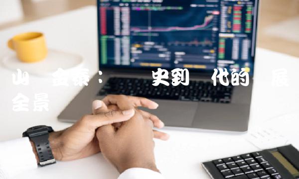 山东金泰：从历史到现代的发展全景