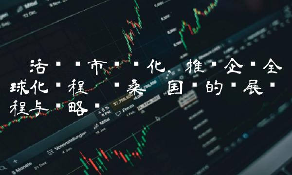 灵活应对市场变化，推动企业全球化进程——论桑德国际的发展历程与战略规划