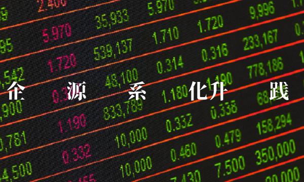 企业资源规划系统优化升级实践