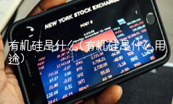 有机硅是什么(有机硅是什么用途)