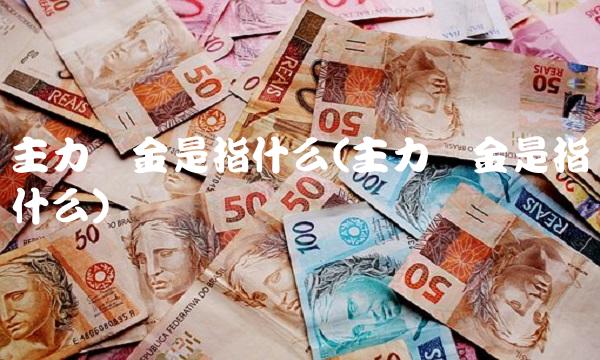 主力资金是指什么(主力资金是指什么)