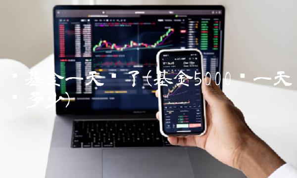块基金一天亏了(基金5000块一天亏多少)