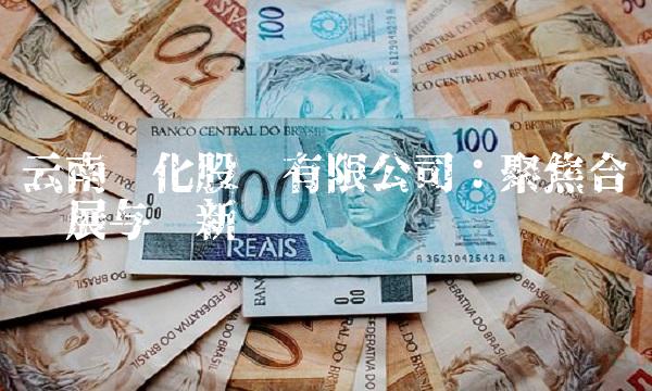 云南盐化股份有限公司：聚焦合规发展与创新