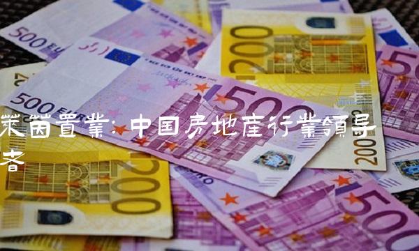 莱茵置业：中国房地产行业领导者