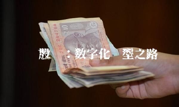 丽鹏股份：数字化转型之路