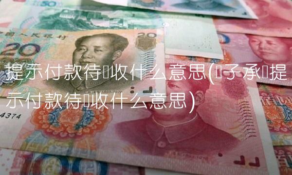 提示付款待签收什么意思(电子承兑提示付款待签收什么意思)