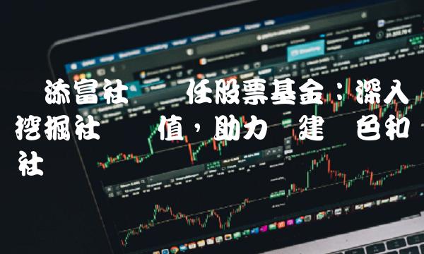 汇添富社会责任股票基金：深入挖掘社会价值，助力构建绿色和谐社会