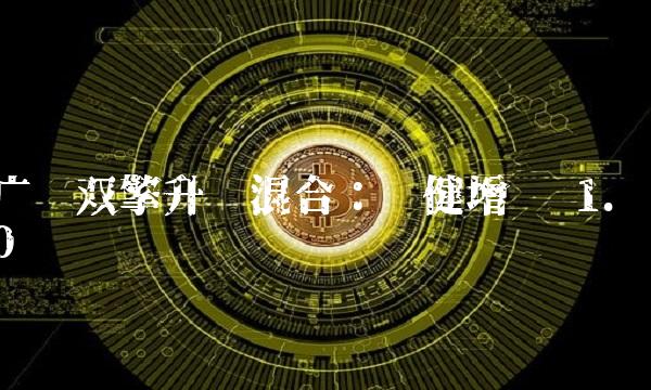 广发双擎升级混合：稳健增长 1.0