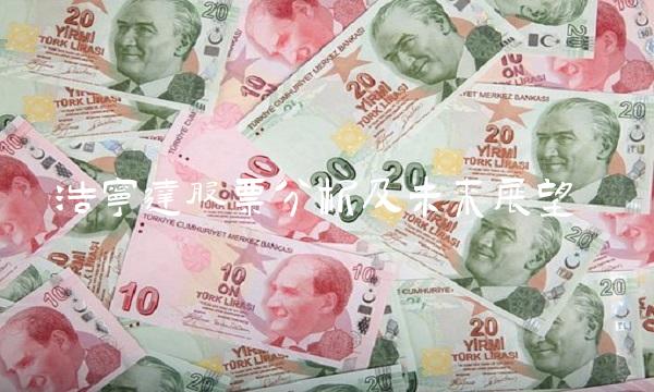 浩宁达股票分析及未来展望