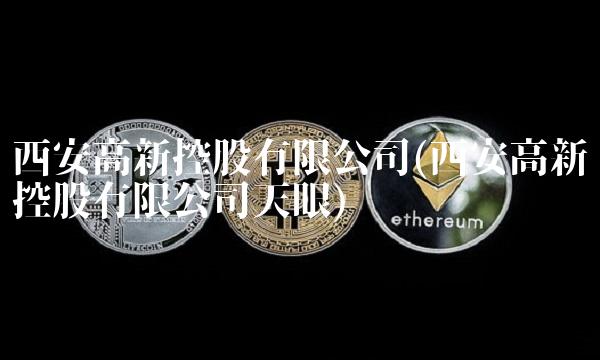 西安高新控股有限公司(西安高新控股有限公司天眼)