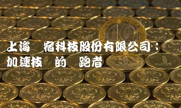 上海网宿科技股份有限公司：网络加速技术的领跑者
