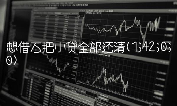 想借万把小贷全部还清(1;42;0;0)