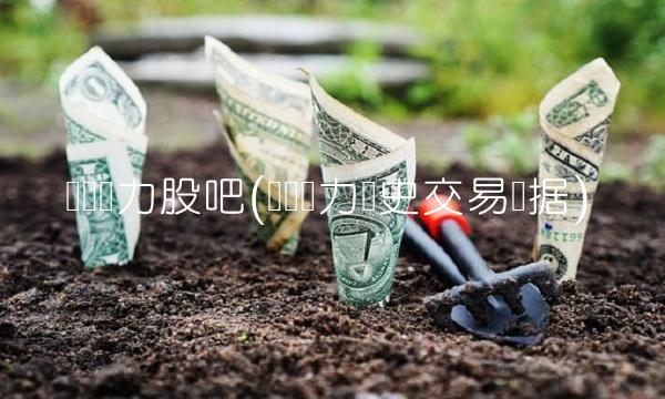 华银电力股吧(华银电力历史交易数据)