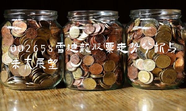 002658雪迪龙股票走势分析与未来展望