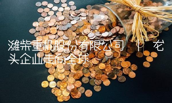潍柴重机股份有限公司 龙头企业走向全球